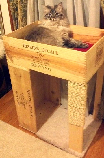 Best ideas about DIY Cat House
. Save or Pin Dishfunctional Designs Cool Cat Houses For Cool Cats Now.
