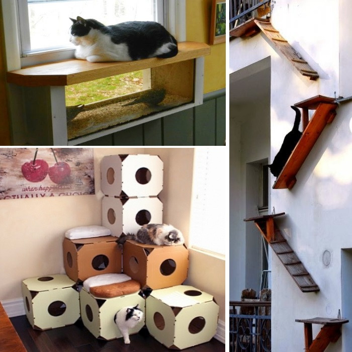Best ideas about DIY Cat House
. Save or Pin For all the Cat Lovers Out There Now.