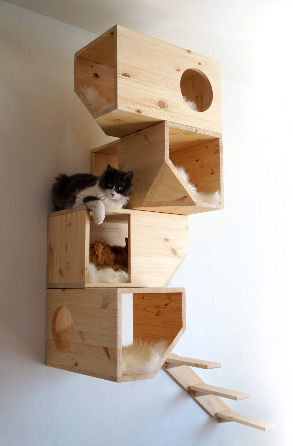 Best ideas about DIY Cat House
. Save or Pin Wooden Modular Cat House Now.