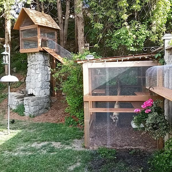 Best ideas about DIY Cat Houses Outdoor
. Save or Pin Easy DIY Cat Enclosure Now.