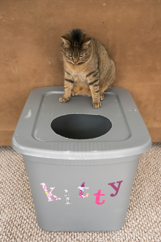 Best ideas about DIY Cat Litter Box
. Save or Pin The Original DIY Mess Free Cat Litter Box Living Well Mom Now.