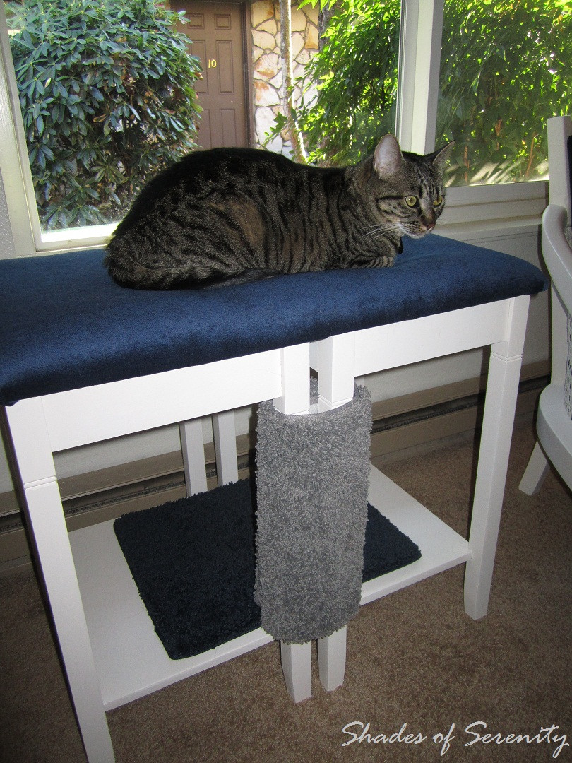 Best ideas about DIY Cat Perch
. Save or Pin Shades of Serenity Homemade Cat Napper Now.