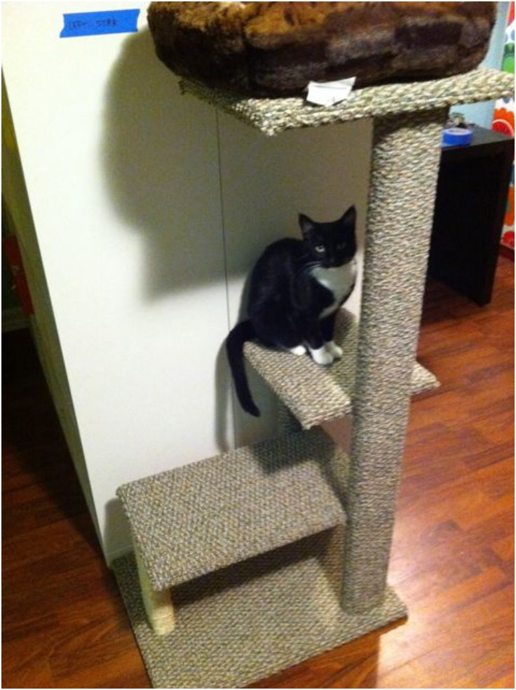 Best ideas about DIY Cat Perch
. Save or Pin Top 10 Entertaining DIY Cat Trees Top Inspired Now.