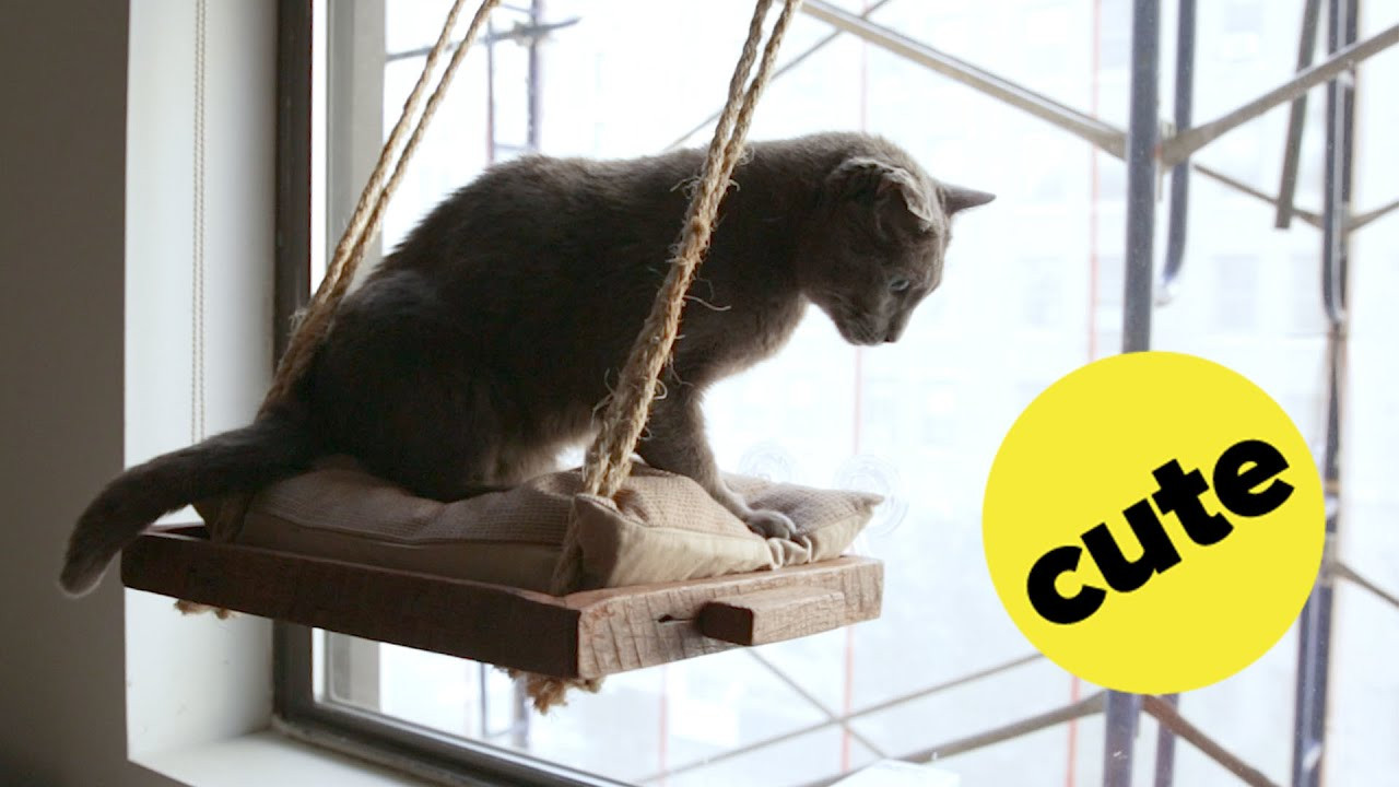 Best ideas about DIY Cat Perch
. Save or Pin DIY Cat Window Perch Now.