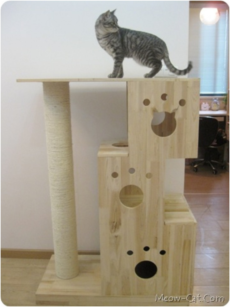 Best ideas about DIY Cat Perch
. Save or Pin Top 10 Entertaining DIY Cat Trees Top Inspired Now.