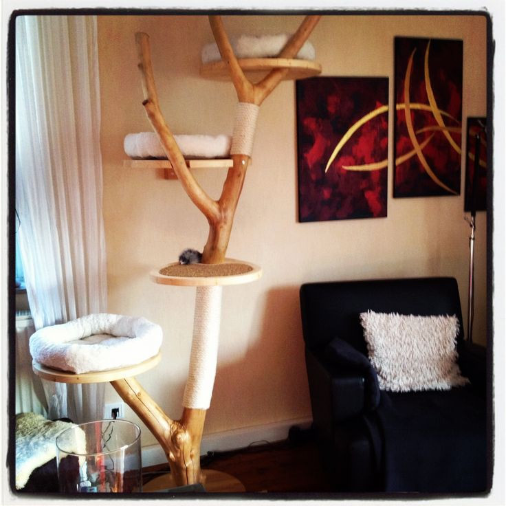 Best ideas about DIY Cat Perch
. Save or Pin DIY scratching tree Love the sisal scratching Now.