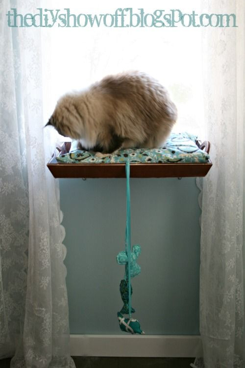 Best ideas about DIY Cat Perch
. Save or Pin DIY How to Make a Cat Window Perch Now.