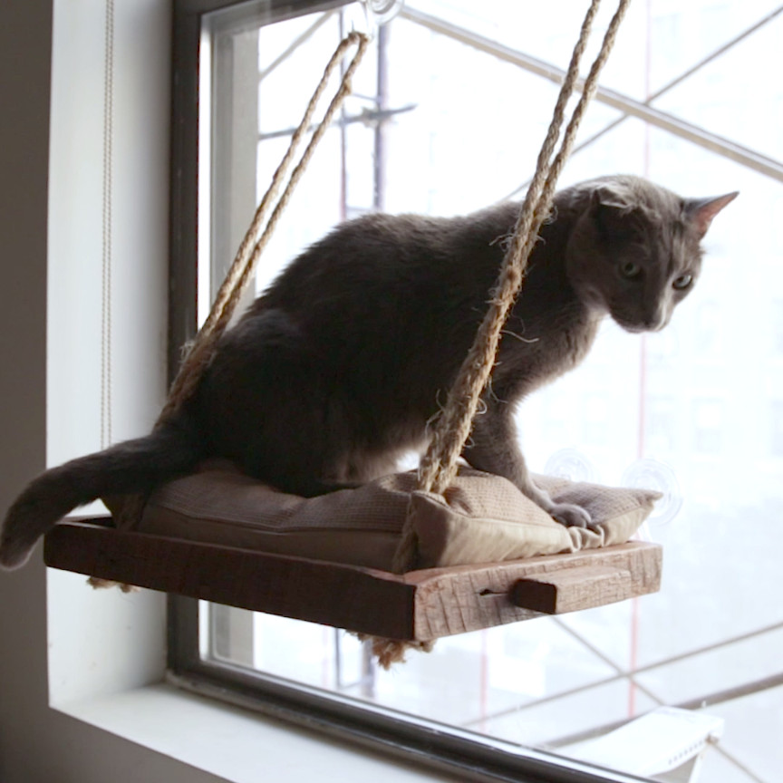 Best ideas about DIY Cat Perch
. Save or Pin DIY Cat Window Perch Nifty Pets Now.