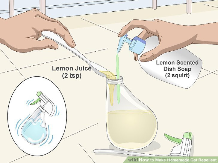 Best ideas about DIY Cat Repellent
. Save or Pin The 5 Best Ways to Make Homemade Cat Repellent wikiHow Now.