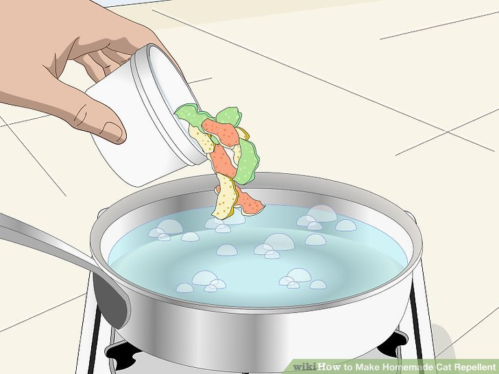 Best ideas about DIY Cat Repellent
. Save or Pin The 5 Best Ways to Make Homemade Cat Repellent wikiHow Now.
