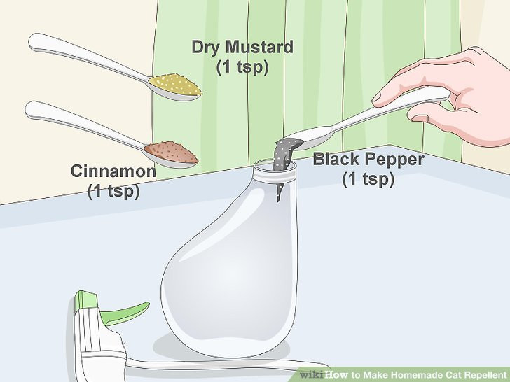 Best ideas about DIY Cat Repellent
. Save or Pin The 5 Best Ways to Make Homemade Cat Repellent wikiHow Now.