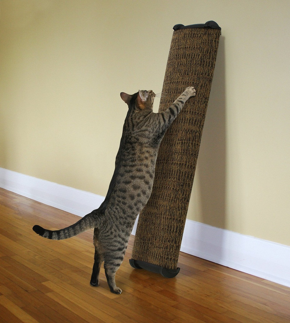 Best ideas about DIY Cat Scratcher
. Save or Pin Homemade Cat Scratcher Homemade Ftempo Now.