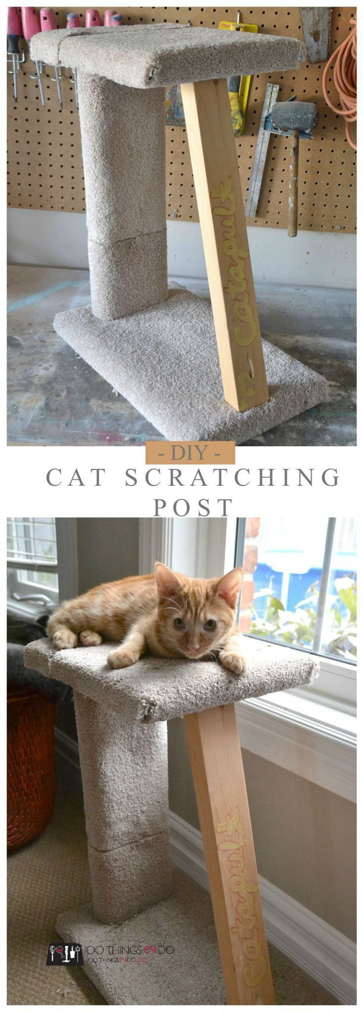 Best ideas about DIY Cat Scratcher
. Save or Pin Best 25 Cat scratching post ideas on Pinterest Now.