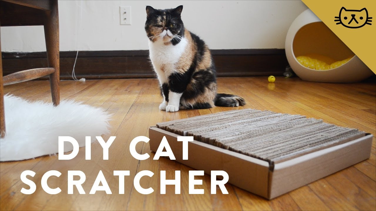 Best ideas about DIY Cat Scratcher
. Save or Pin DIY Cardboard Cat Scratcher with Pudge Now.