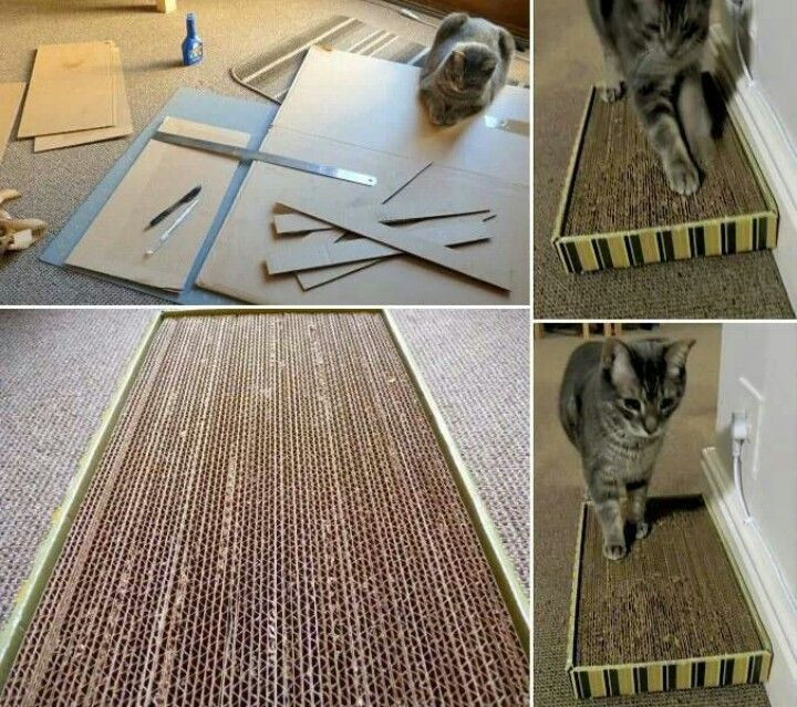 Best ideas about DIY Cat Scratcher
. Save or Pin Diy cat scratcher Kitty DIY Cat scratchers Now.