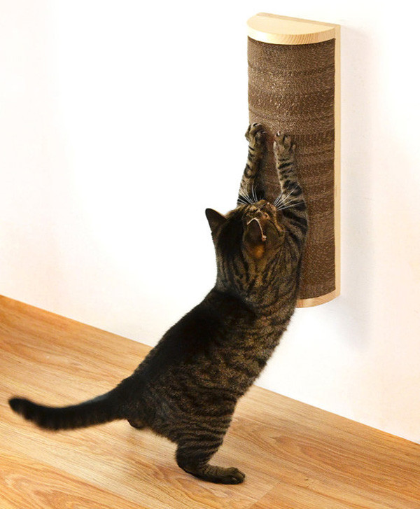 Best ideas about DIY Cat Scratcher
. Save or Pin Save Space in Style With These Wall Mounted Cat Scratchers Now.