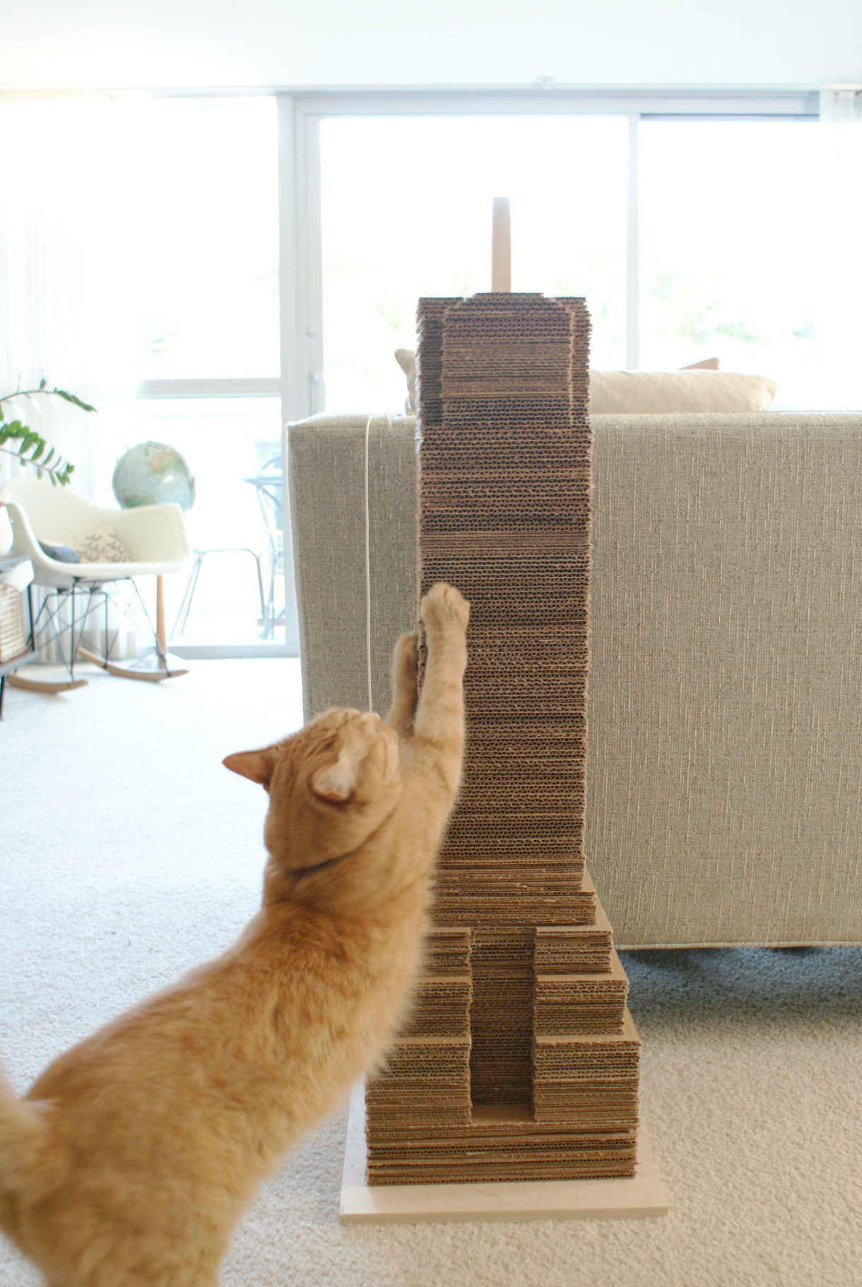 Best ideas about DIY Cat Scratcher
. Save or Pin 10 Homemade Cat Toys DipFeed Now.