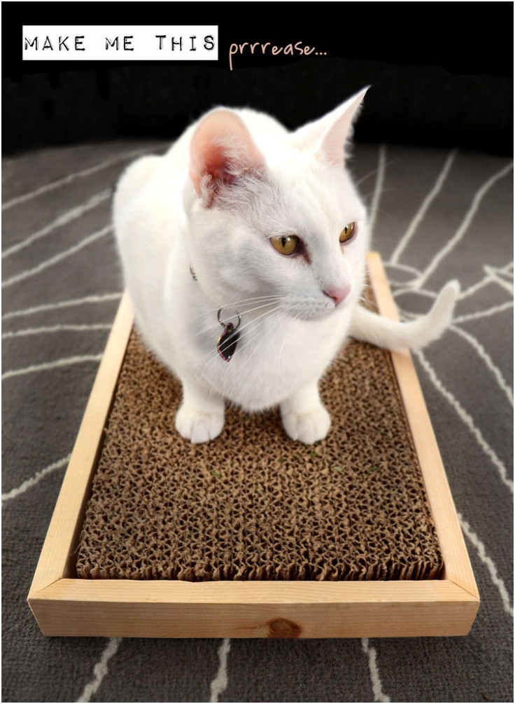 Best ideas about DIY Cat Scratcher
. Save or Pin Top 10 DIY Cat Scratching Posts and Pads Top Inspired Now.