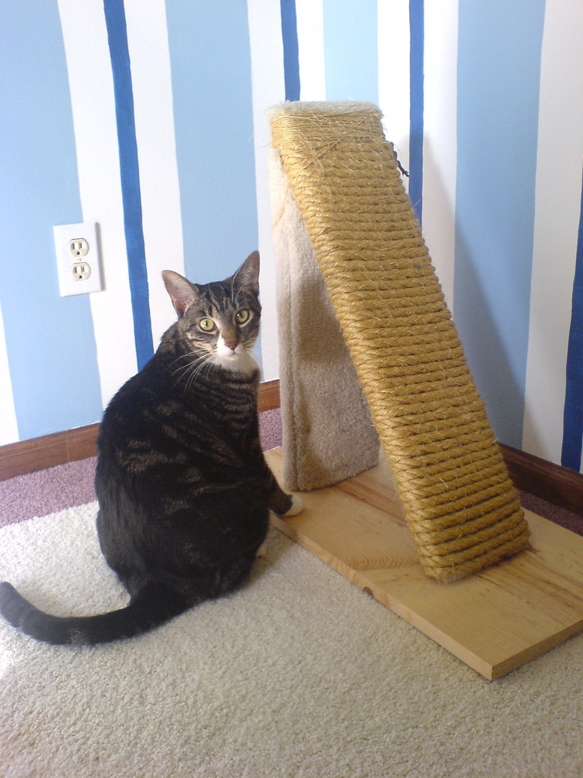 Best ideas about DIY Cat Scratcher
. Save or Pin Scratching post Now.