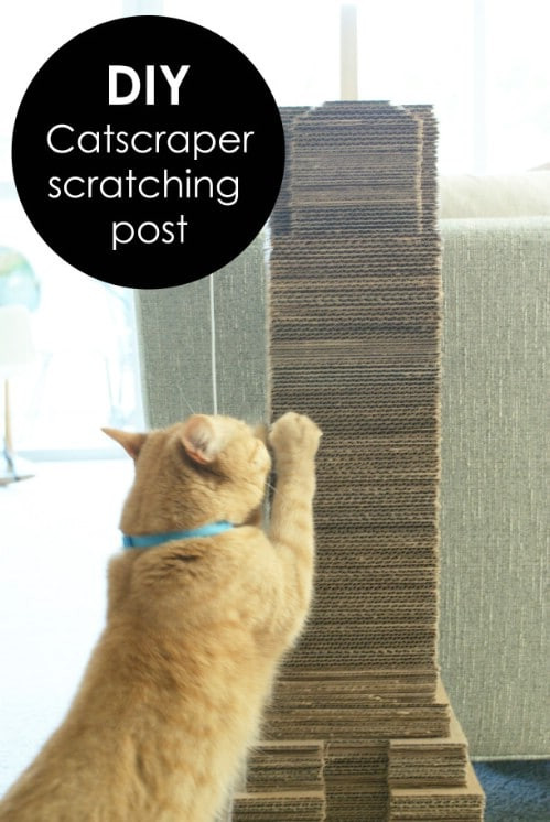 Best ideas about DIY Cat Scratching
. Save or Pin 20 Purrfect DIY Projects for Cat Owners DIY & Crafts Now.