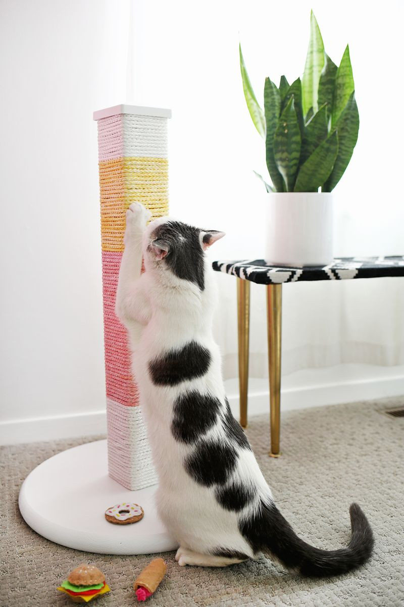 Best ideas about DIY Cat Scratching
. Save or Pin Colorblocked Scratching Post DIY – A Beautiful Mess Now.