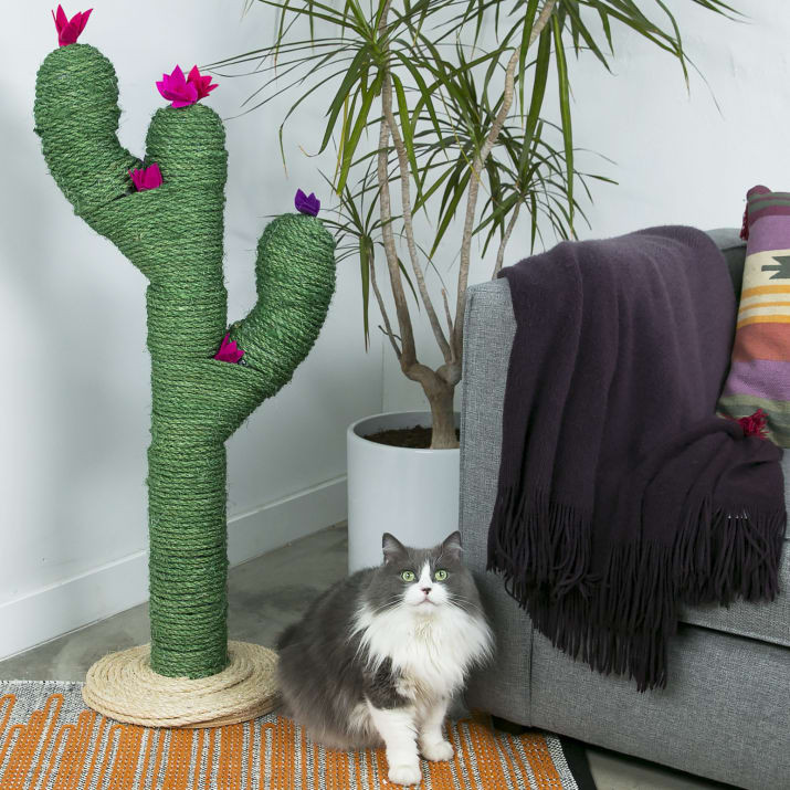 Best ideas about DIY Cat Scratching Post
. Save or Pin Banarsi Designs Blog Decorating Trends Tips & Ideas Now.