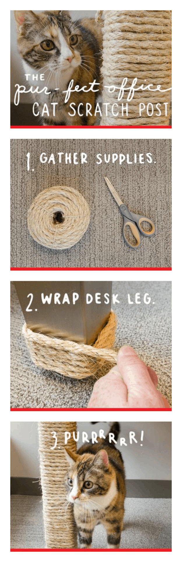 Best ideas about DIY Cat Scratching Post
. Save or Pin 25 Easy and Simple DIY Pet Projects Now.