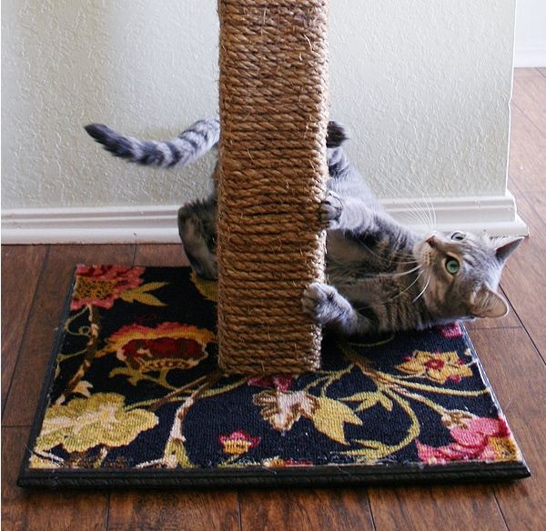 Best ideas about DIY Cat Scratching Post
. Save or Pin BOTB 9 2 12 Now.