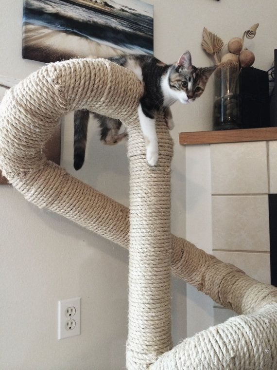 Best ideas about DIY Cat Scratching Post Plans
. Save or Pin Best 25 Cat scratching post ideas on Pinterest Now.