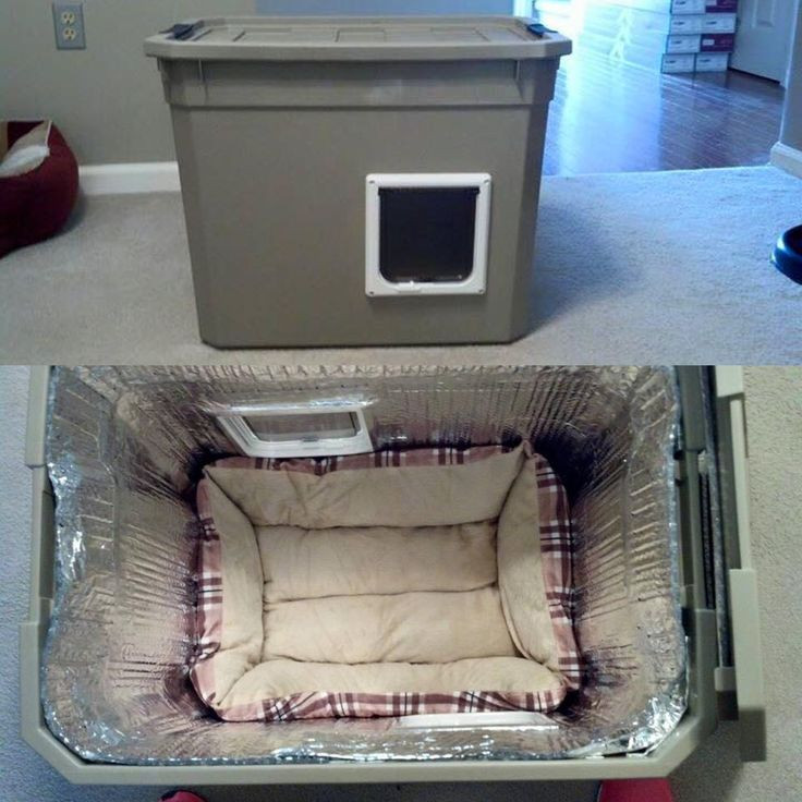 Best ideas about DIY Cat Shelter
. Save or Pin Best 25 Outdoor cat houses ideas on Pinterest Now.
