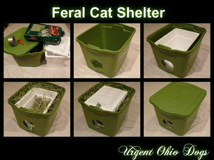 Best ideas about DIY Cat Shelter
. Save or Pin Feral cat shelter DIY Cat Shelters Pinterest Now.