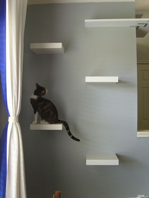 Best ideas about DIY Cat Shelves
. Save or Pin 37 IKEA Lack Shelves Ideas And Hacks DigsDigs Now.