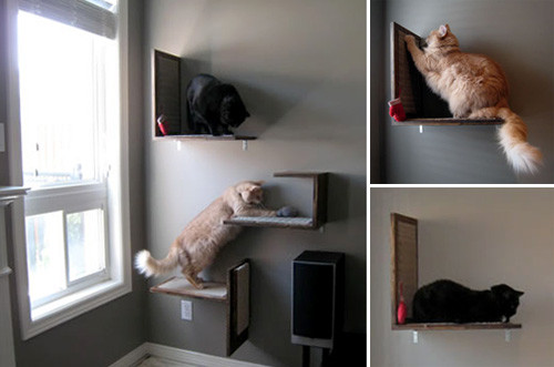 Best ideas about DIY Cat Shelves
. Save or Pin Jake and Karen’s DIY Modern Cat Platforms • hauspanther Now.
