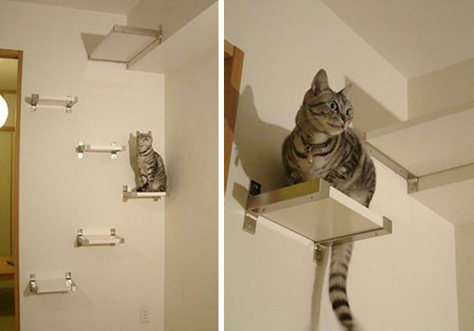 Best ideas about DIY Cat Shelves
. Save or Pin 12 DIY cat condos that are hip and modern Now.