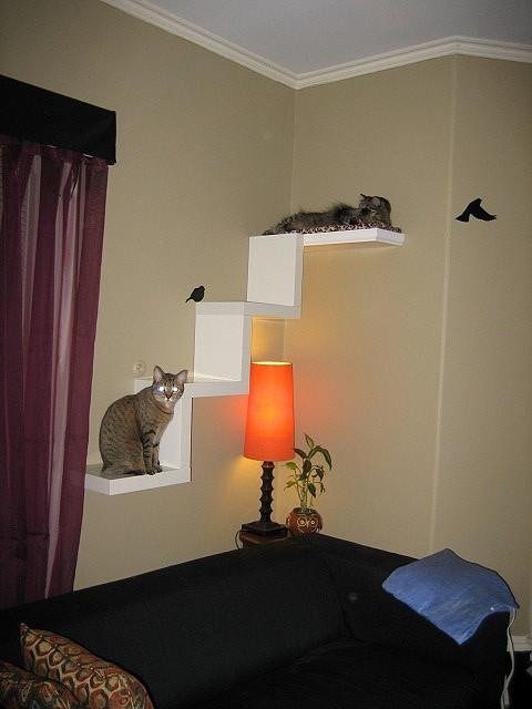 Best ideas about DIY Cat Shelves
. Save or Pin Cat Shelf Inspiration The Tiger Club Blog Now.