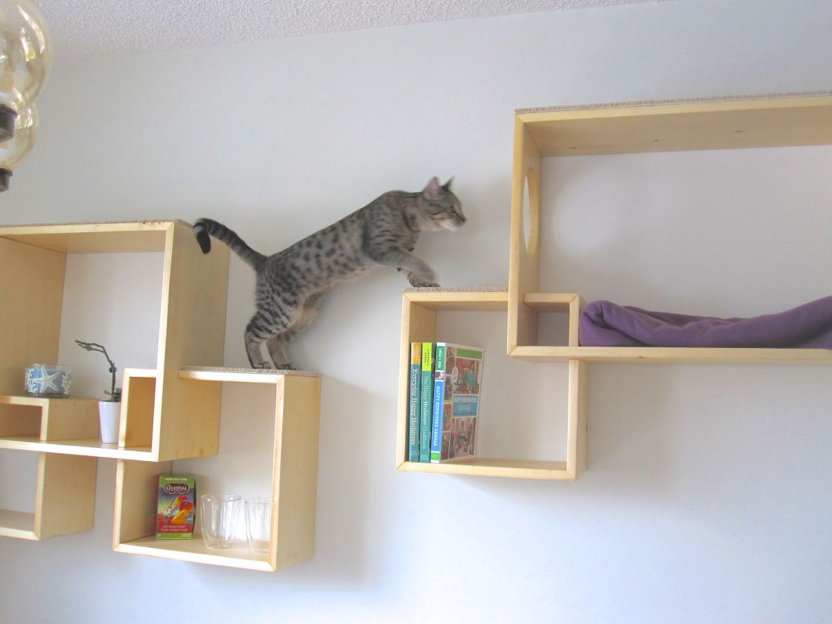 Best ideas about DIY Cat Shelves
. Save or Pin Modern Cat Tree Alternatives For Up To Date Pets Now.