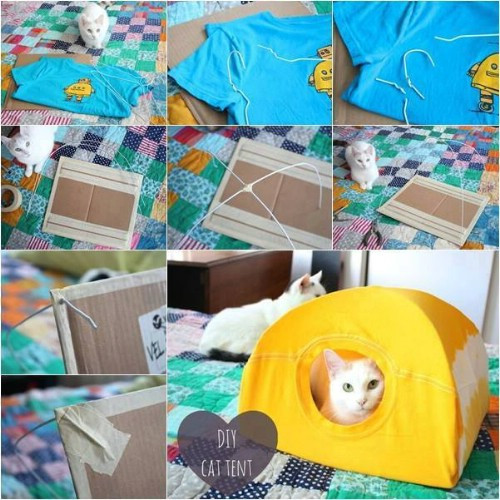 Best ideas about DIY Cat Tent
. Save or Pin 20 Purrfect DIY Projects for Cat Owners Page 2 of 2 Now.