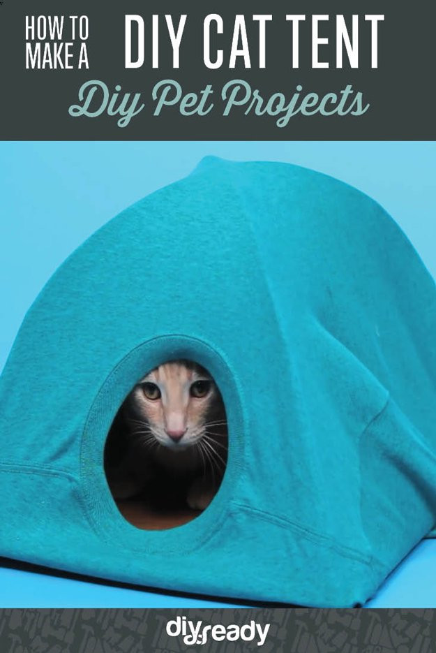 Best ideas about DIY Cat Tent
. Save or Pin How to Make a DIY Cat Tent DIY Ready Now.