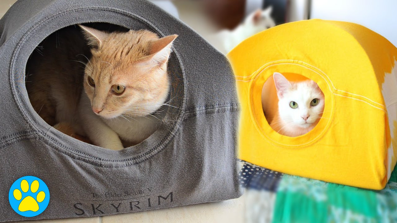 Best ideas about DIY Cat Tent
. Save or Pin Does This Pin Work Now.