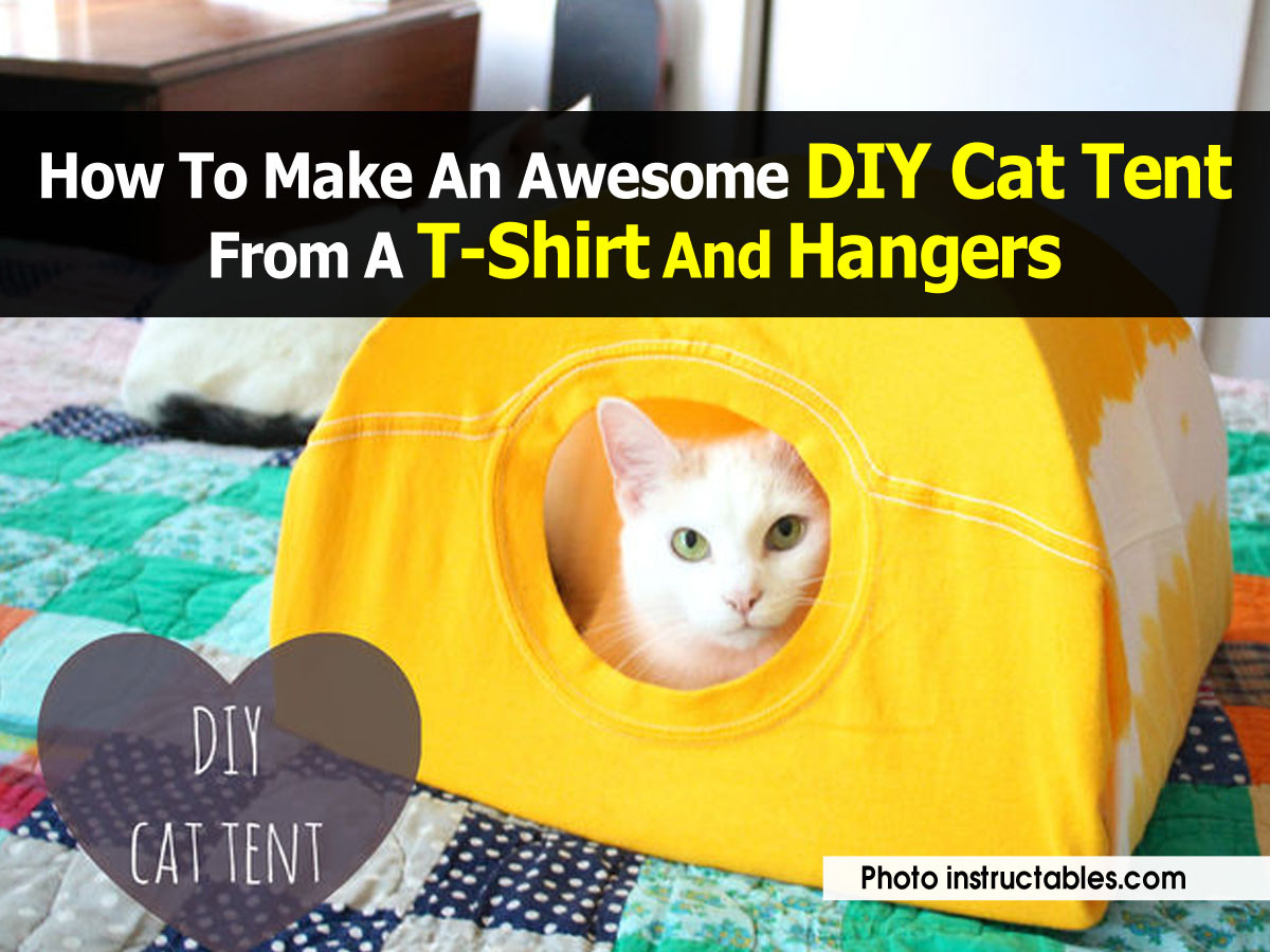 Best ideas about DIY Cat Tent
. Save or Pin How To Make An Awesome DIY Cat Tent From A T Shirt And Hangers Now.