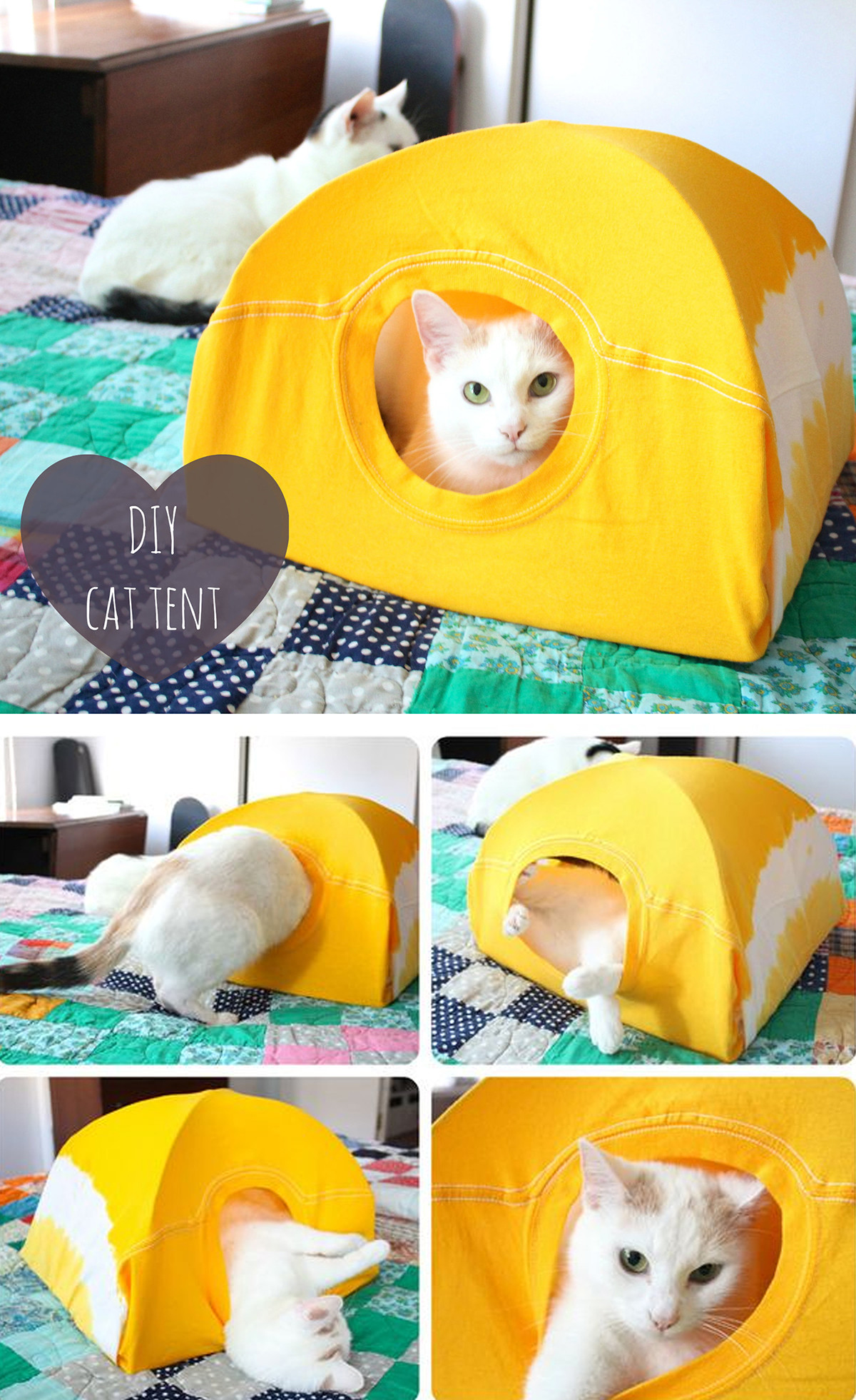 Best ideas about DIY Cat Tent
. Save or Pin 16 Adorable DIY Pet Bed Ideas Style Motivation Now.