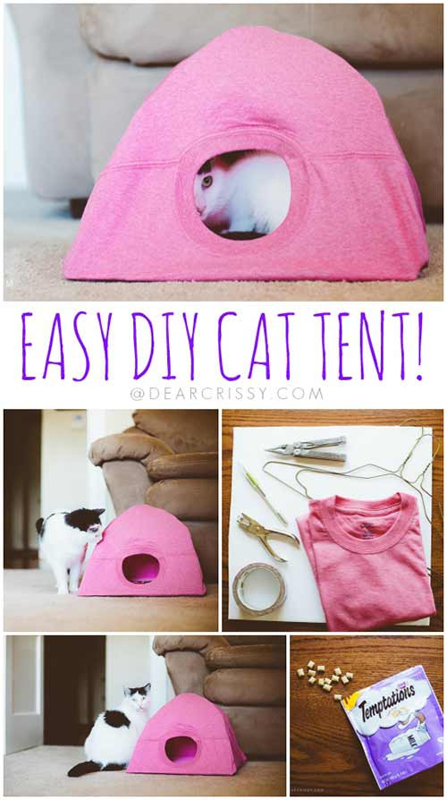 Best ideas about DIY Cat Tent
. Save or Pin How To Make A Cat Tent From An Old T Shirt – iSeeiDoiMake Now.