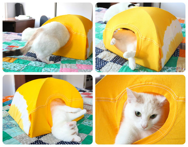 Best ideas about DIY Cat Tent
. Save or Pin DIY cat tent 9 Now.