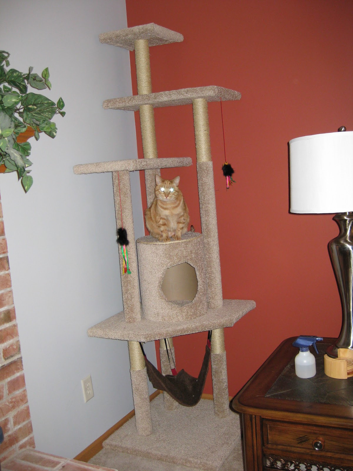 Best ideas about DIY Cat Tower
. Save or Pin Pickle Perfect How to Build a Cat Tree Now.