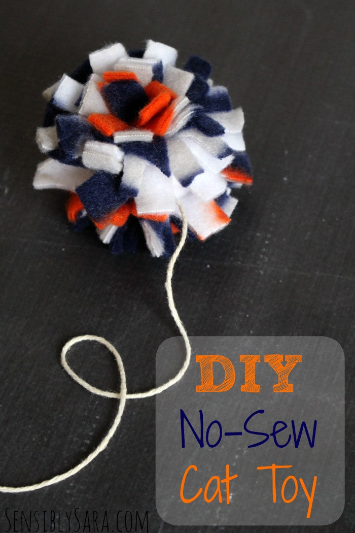 Best ideas about DIY Cat Toy
. Save or Pin DIY No Sew Cat Toys for Mordu MyCatMyMuse [AD] Now.