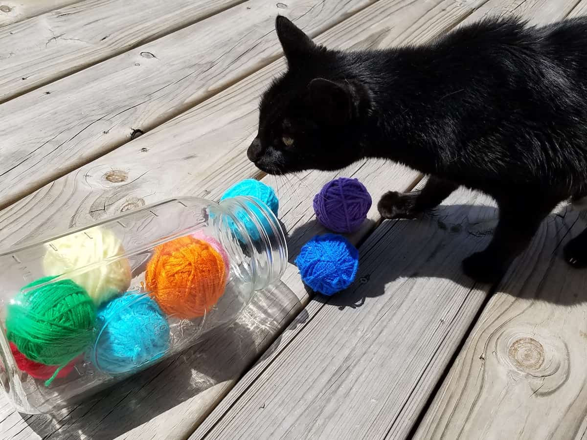 Best ideas about DIY Cat Toy
. Save or Pin How to Make an Easy Homemade Cat Toy No Sewing No Knitting Now.