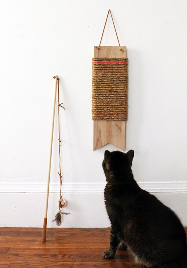 Best ideas about DIY Cat Toy
. Save or Pin 23 DIY Pet Projects For Your Cats & Dogs Now.