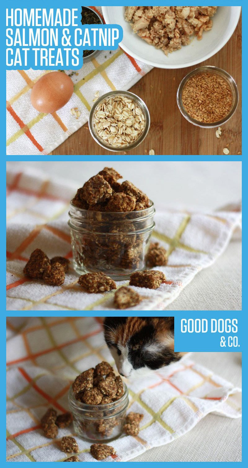 Best ideas about DIY Cat Treats
. Save or Pin 13 Best Dog Treats for Your Canine Pal Now.