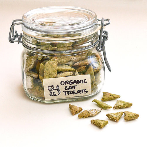 Best ideas about DIY Cat Treats
. Save or Pin Homemade Organic Cat Treats Now.