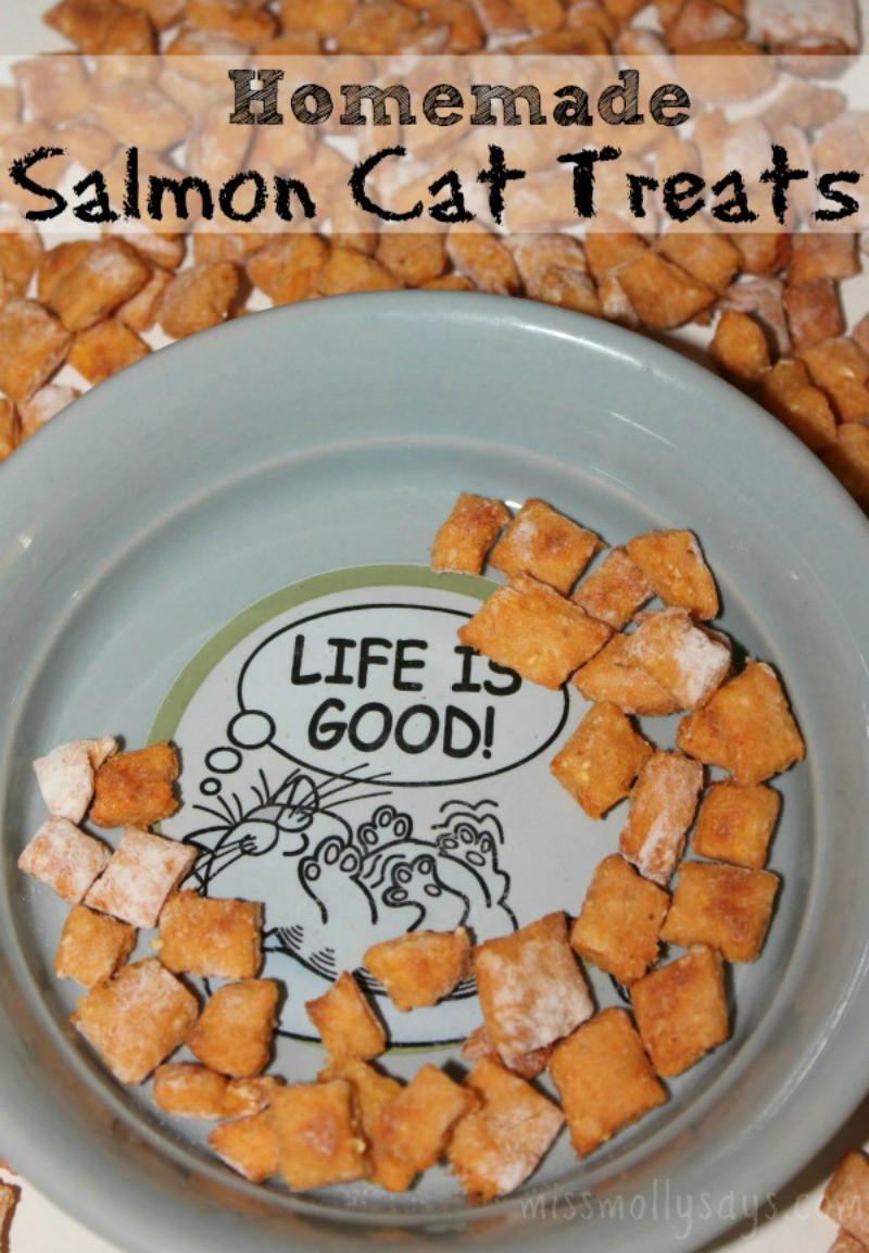 Best ideas about DIY Cat Treats
. Save or Pin Homemade Salmon Cat Treats Recipe Miss Molly Says Now.